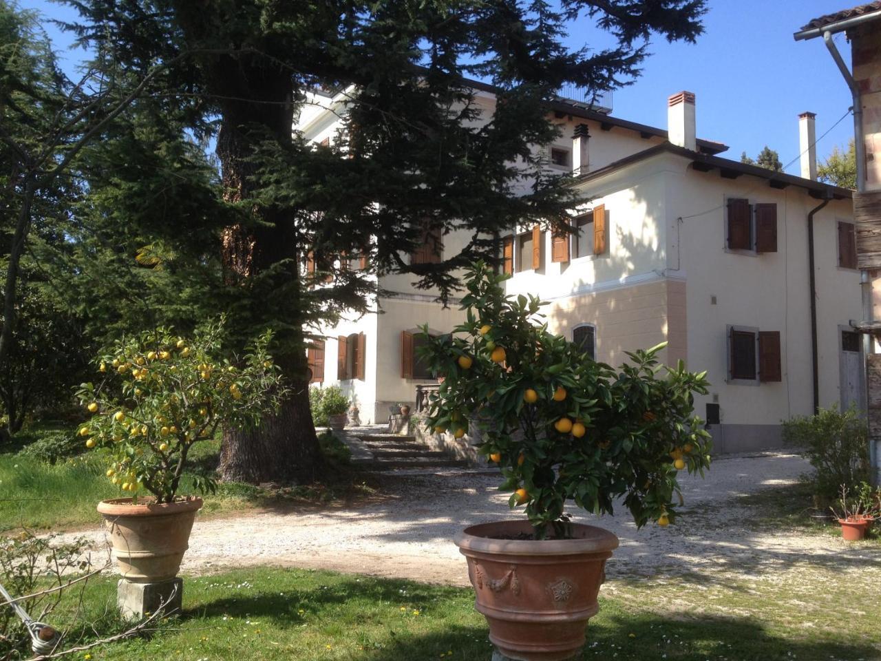 Antica Scuderia Bed & Breakfast Buttrio Luaran gambar